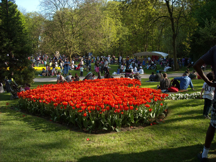La fête des tulipes